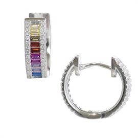 Multi Color Earring
