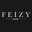 Feizy Import & Export Co. Ltd. logo