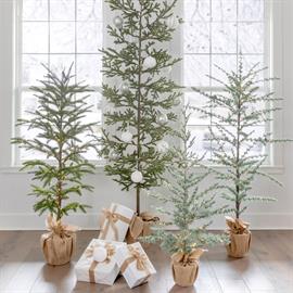 Front Porch Trees