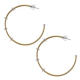 Gold Hoop Earring